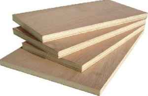 Marine-Ply1-300x196